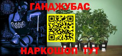 Альфа ПВП Дубна
