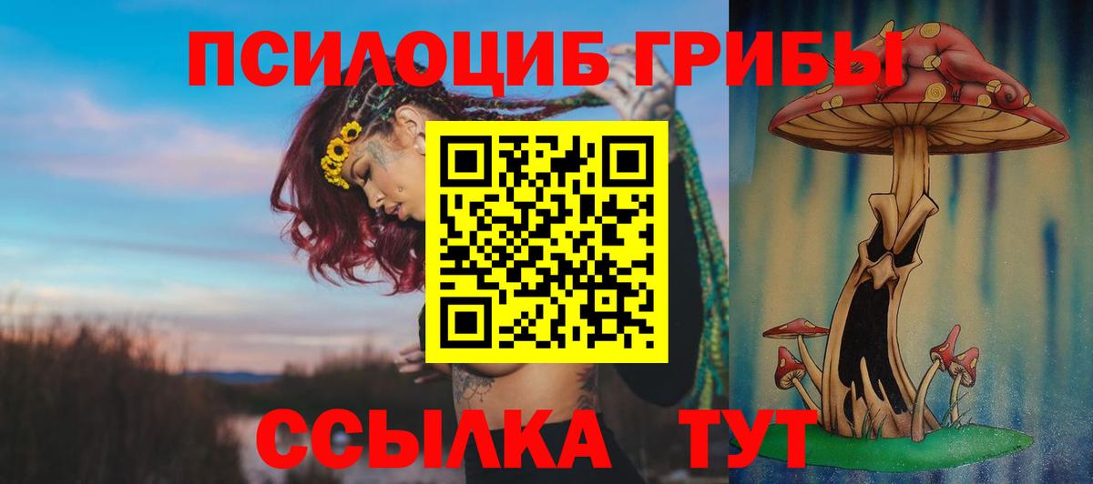 Галлюциногенные грибы GOLDEN TEACHER Новоалтайск